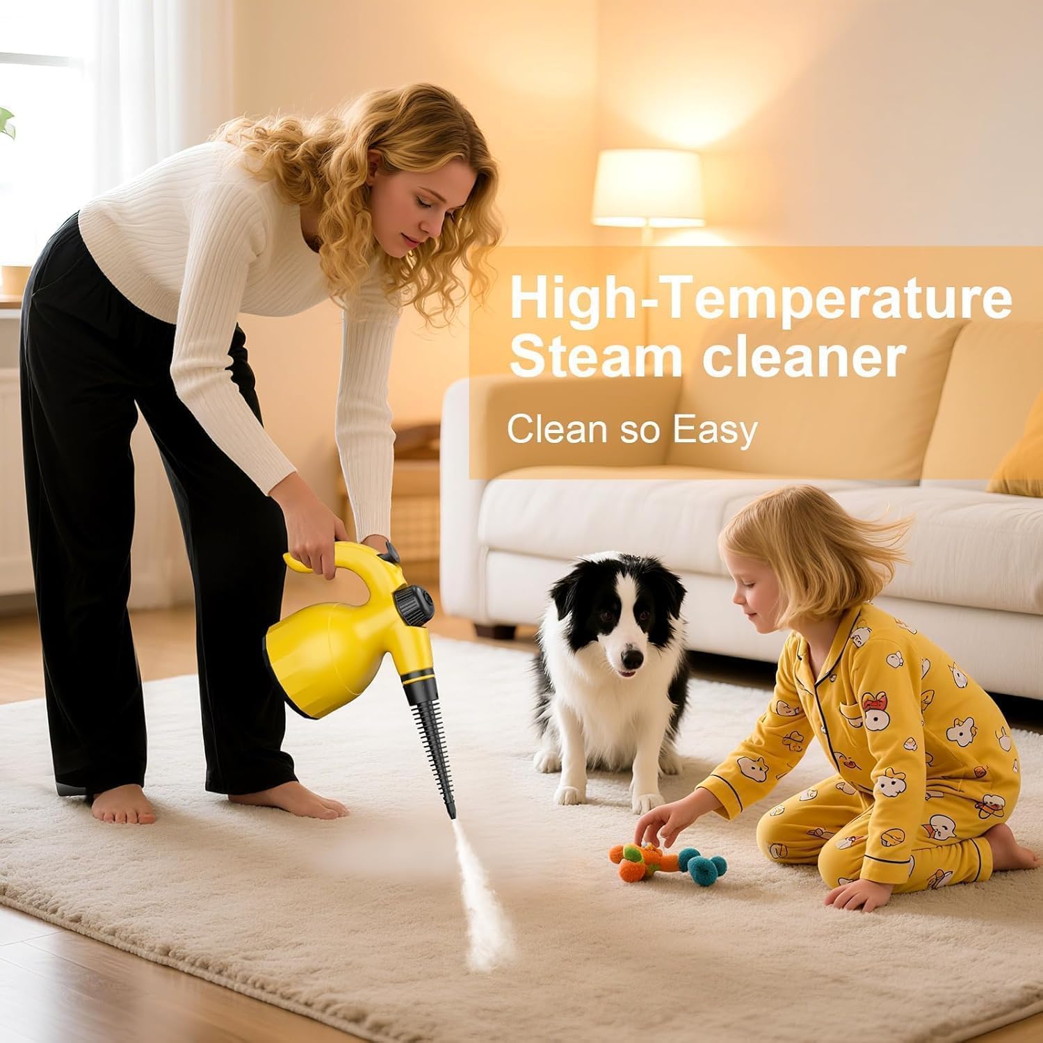 Hand Held Steam Cleaner