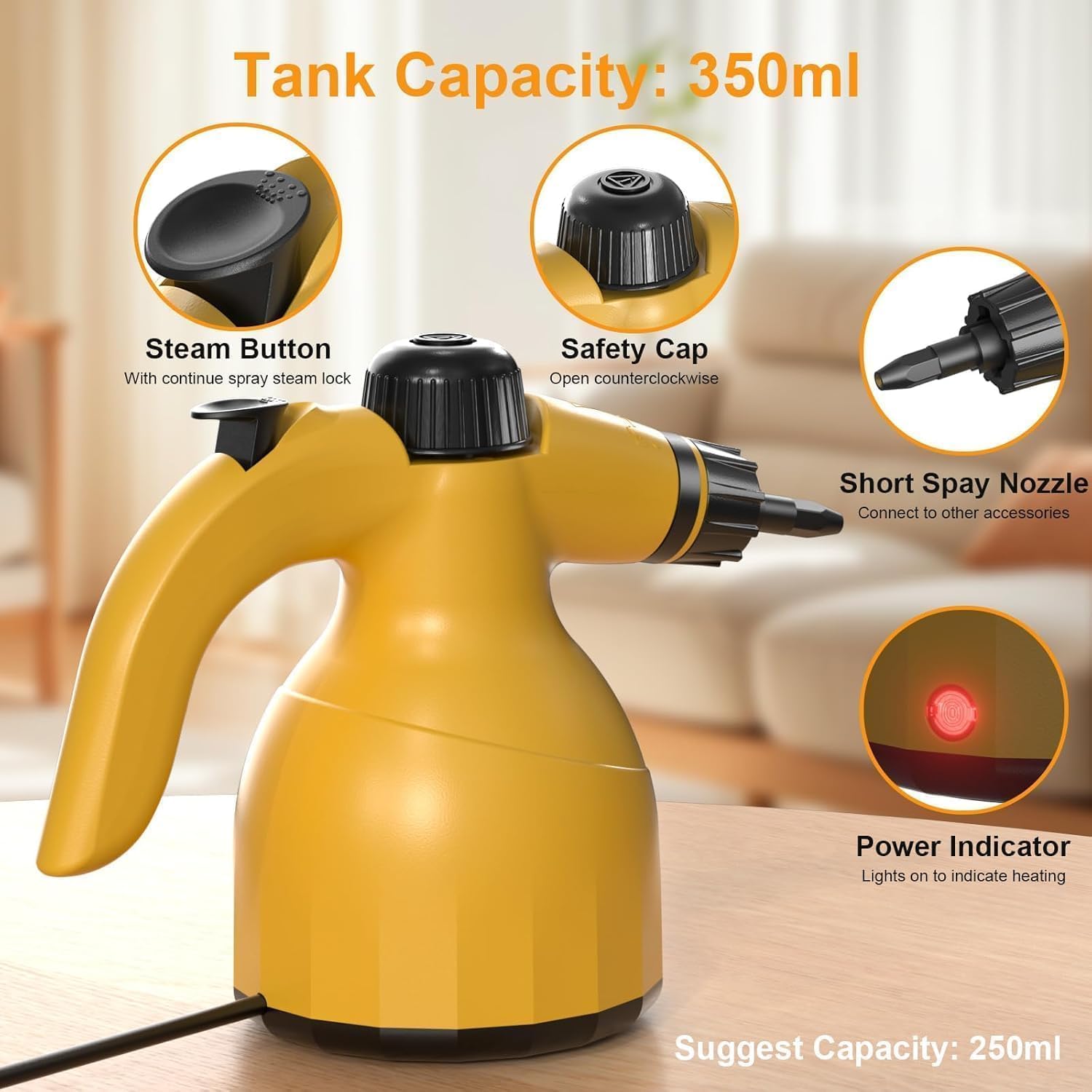 Hand Held Steam Cleaner